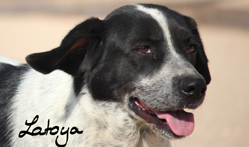 Latoya