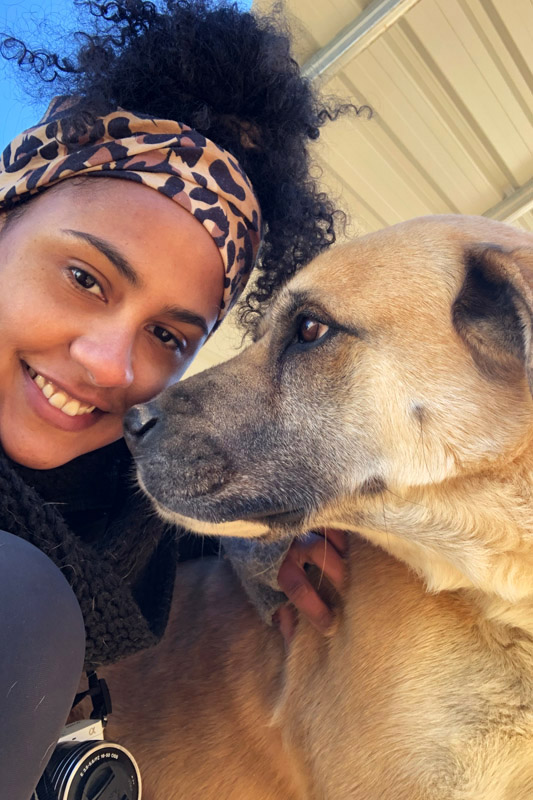 Hund Kiara - Rasse: Mischling