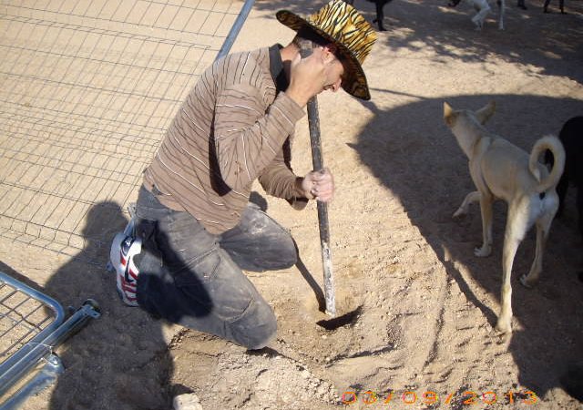 Immer viel Arbeit