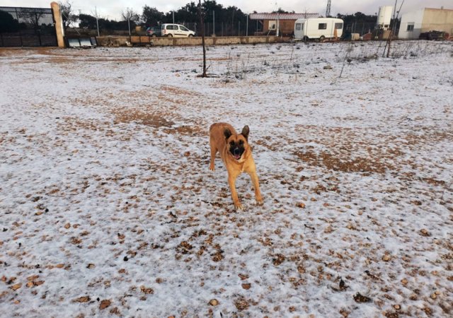 Erster Schnee in der Albergue