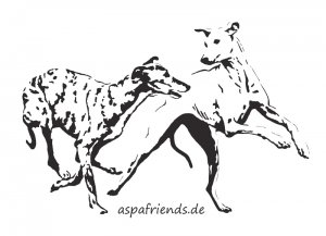 Aspa Windhund-Logo