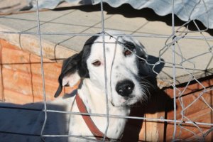 noch mit vielen Ängsten behaftet, aber schon im Herzen seiner Familie ist diese sich sicher - wir schaffen das!CIRO - 