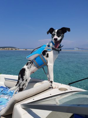 Sky hat eine richtige Bootstour gemacht- vorbildlich mit Schwimmweste ausgestattet.