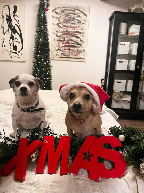 Chica & Odi Chica & Odi