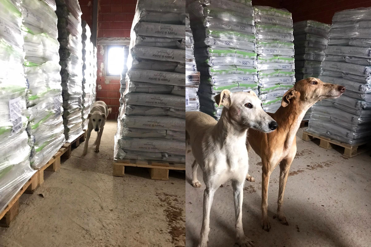 Futterlager der Albergue Futterlager der Albergue