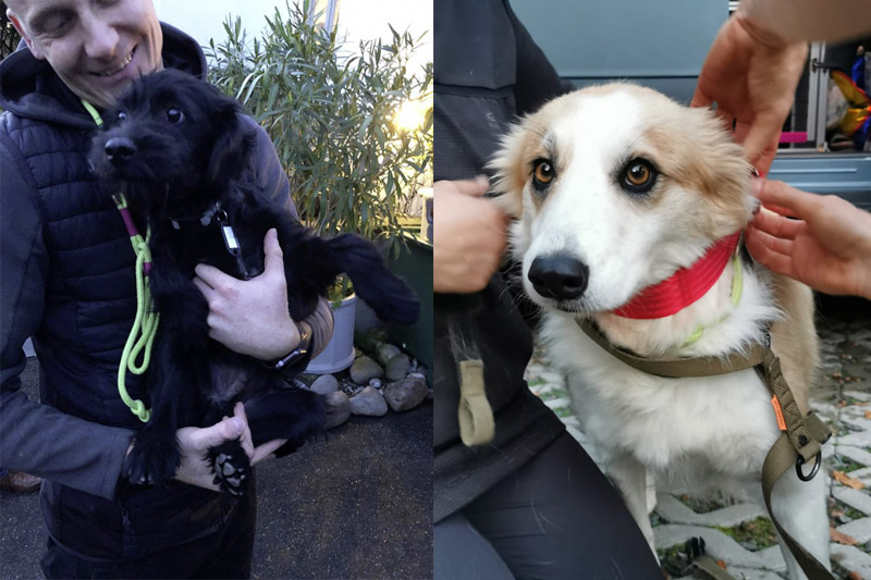 Nero und India Nero und India