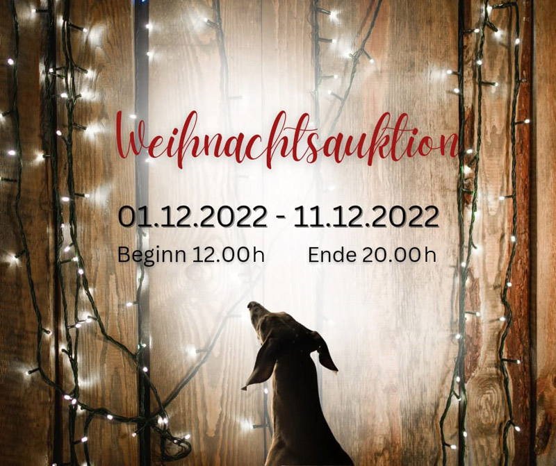 Weihnachtsauktion 2022 Weihnachtsauktion 2022