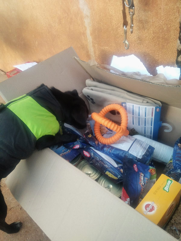 Geschenke Perrera Geschenke Perrera