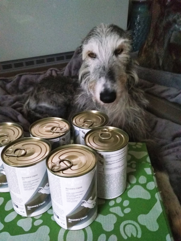 Luna mit Futter Luna mit Futter