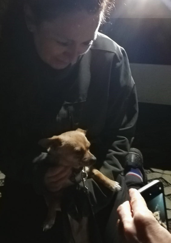 Rosa Ankunft Rosa Ankunft