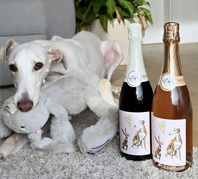 Exklusiver Galgosekt Exklusiver Galgosekt