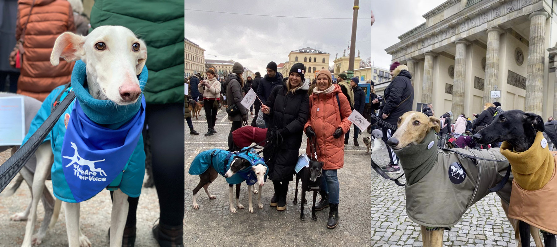 Galgomarsch Berlin Galgomarsch Berlin