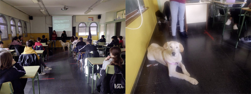 Tulli bei der Öffentlichkeitsarbeit in einer Schule Tulli bei der Öffentlichkeitsarbeit in einer Schule