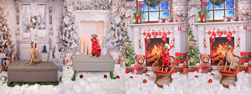 Unico Power Annaperla Unico Power Annaperla