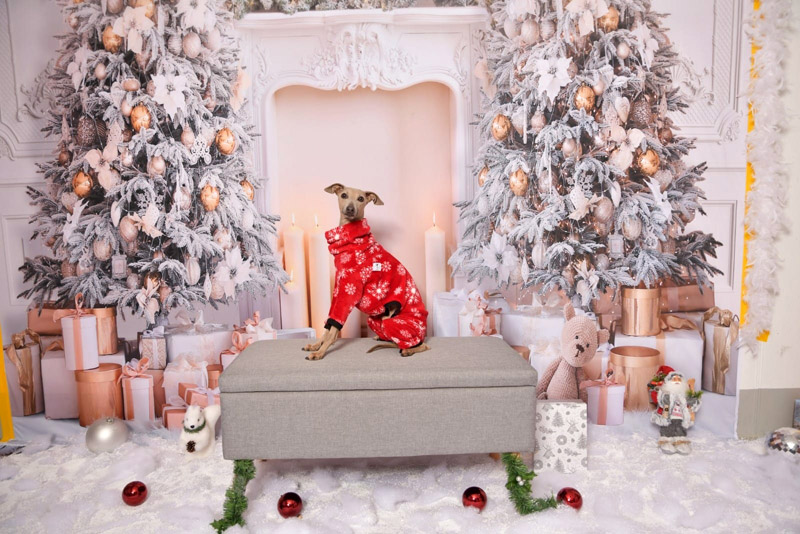 Unico Power Annaperla Unico Power Annaperla