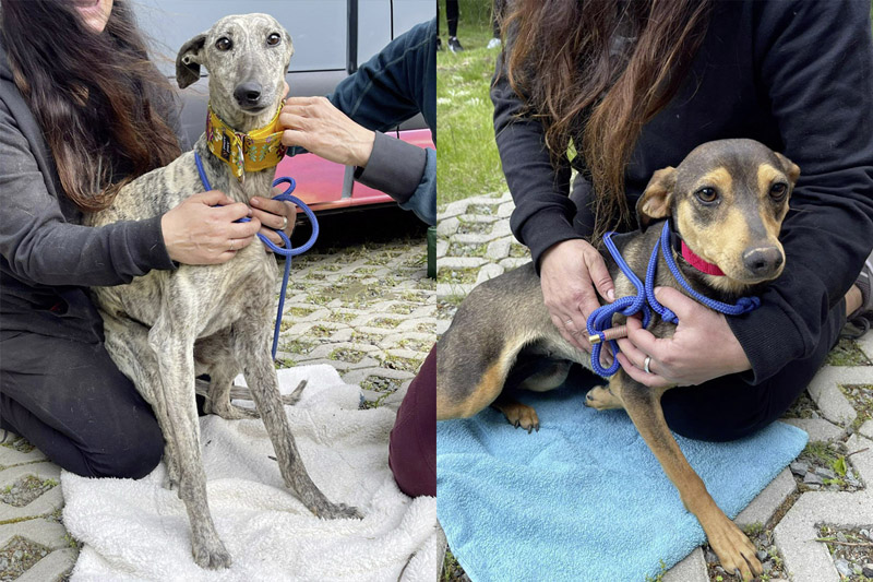 Transport& Ankunft Transport& Ankunft