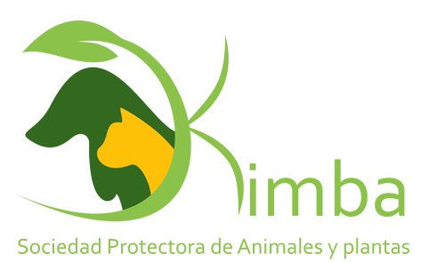 Tierheim Refugio Kimba Tierheim Refugio Kimba